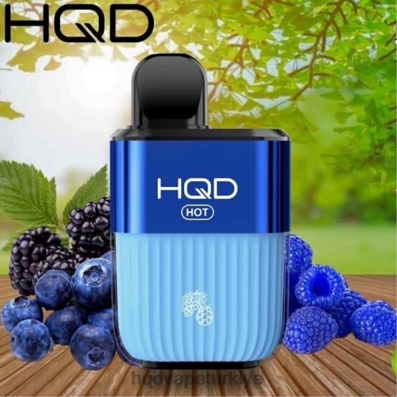 HQD Vape Istanbul - HQD HOT 5000 nefes taze orman meyveleri F2F4668